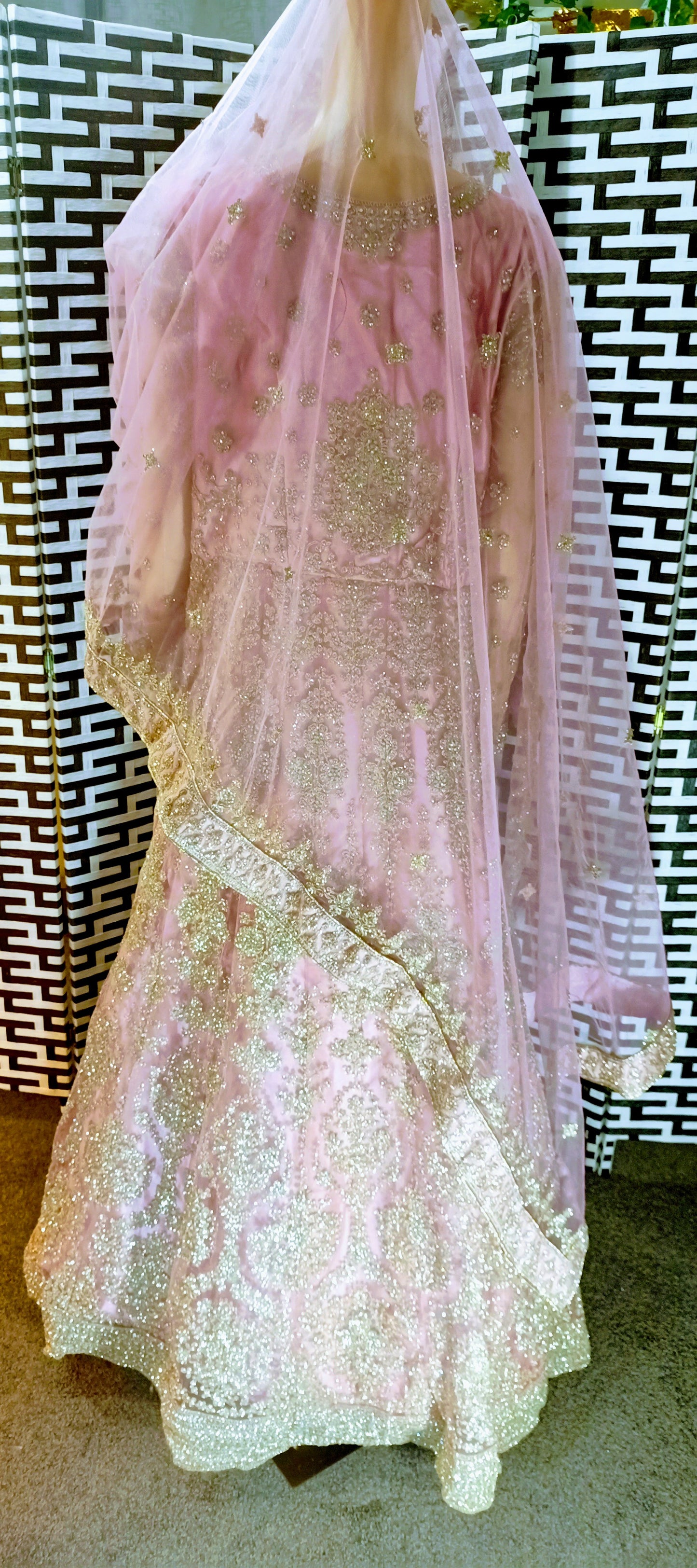 Diva Blush Pink Gown